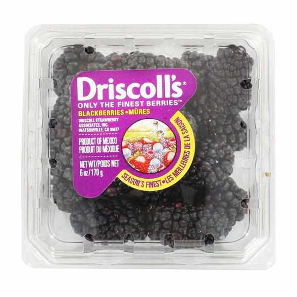 Driscoll, Berry Blackberries Conventional, 6 Ounce