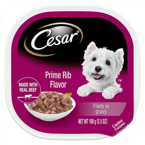 Cesar Gourmet Filets in Sauce Canine Cuisine - Prime Rib Flavor, 24 pack